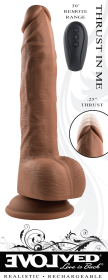 EVOLVED THRUST IN ME DARK