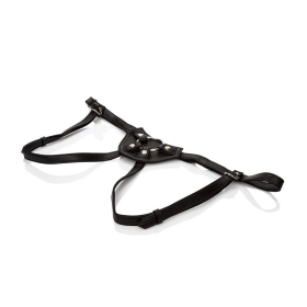 HER ROYAL HARNESS COUNTESS