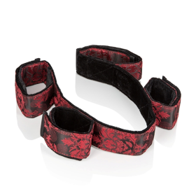 SCANDAL BONDAGE BAR