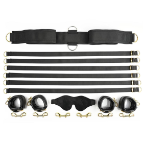 SPECIAL EDITION UNDER THE BED RESTRAINT SYSTEM