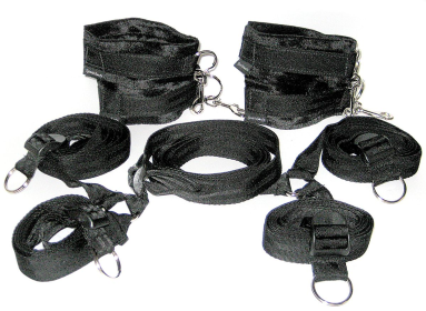 PREMIUM UNDER THE BED RESTRAINT SYSTEM